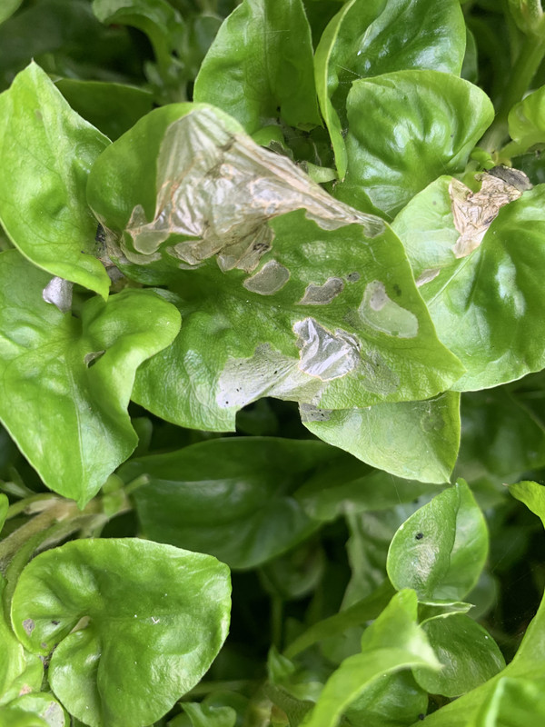 1A796516-E517-467B-B521-5DDCBB2FF519