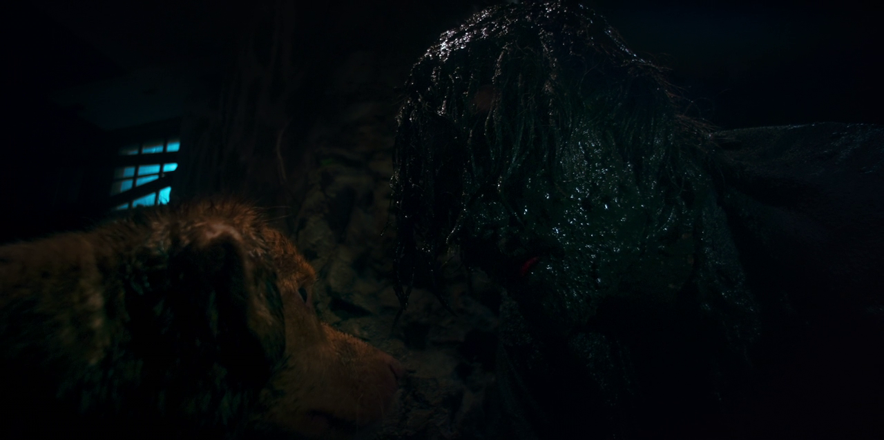 vlcsnap 2026 01 25 16h14m30s586