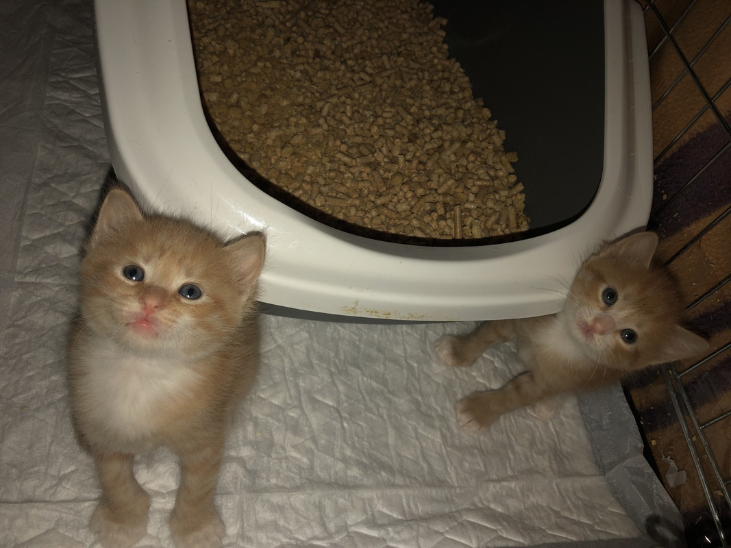 76E499E8-C8EF-4E82-AD93-8193BE2B46AE