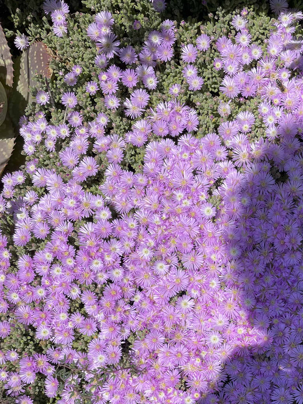 EEE76D6A-8D28-4797-BB73-3483F0A063C5