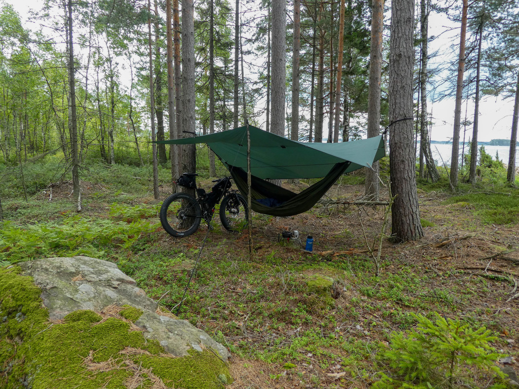 [Linket bilde fra i.postimg.cc]