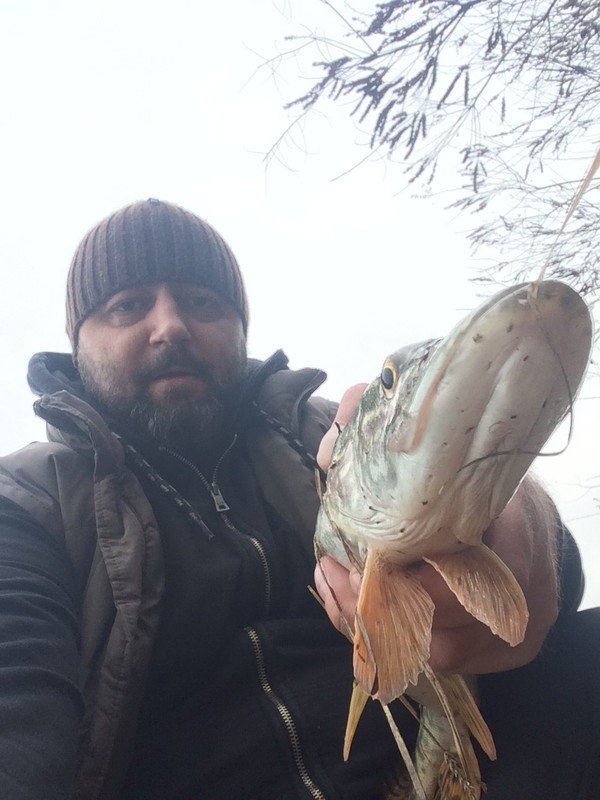 4763DC38-9B89-4930-A8A1-0FA0732516C3