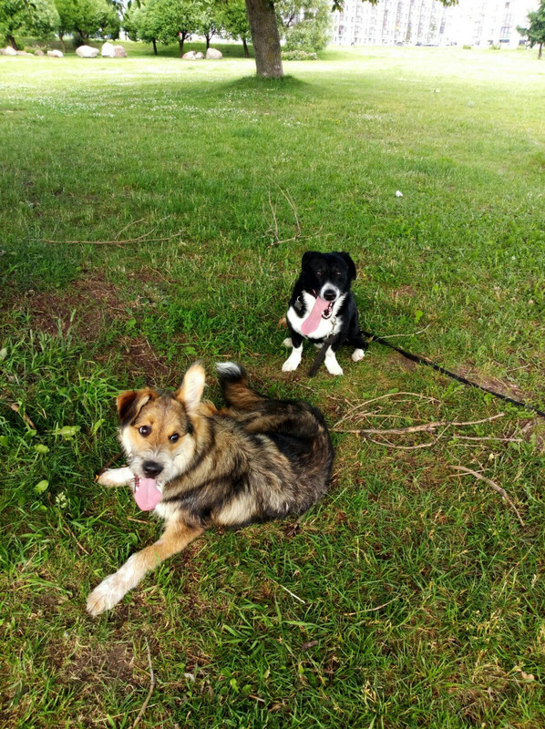 изображение_viber_2020-06-28_18-53-08