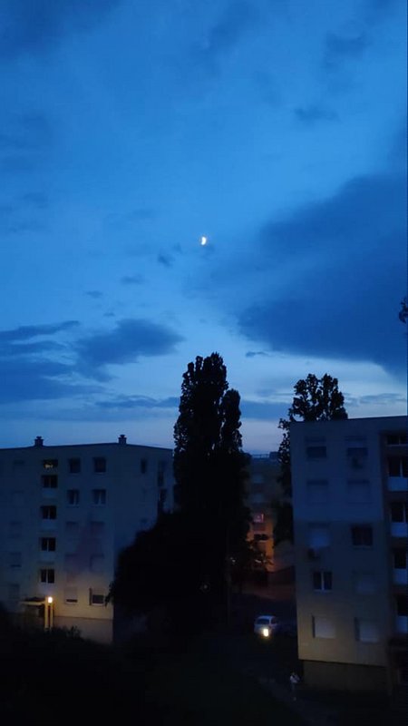 Kép