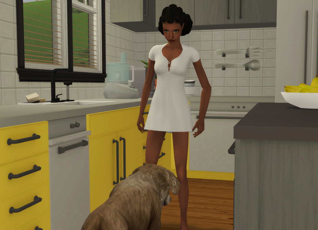 Sims2-EP9-RPC-2023-02-21-12-34-31-35
