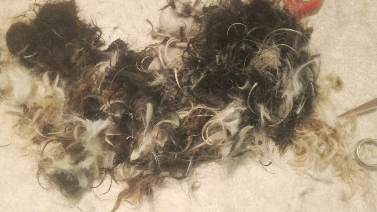 F75DFDC8-B276-4DDA-9336-549462B5D74D