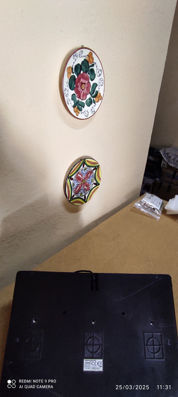 IMG-20250325-113105.jpg