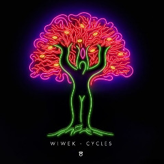 Wiwek.jpg