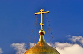 загружено (5)