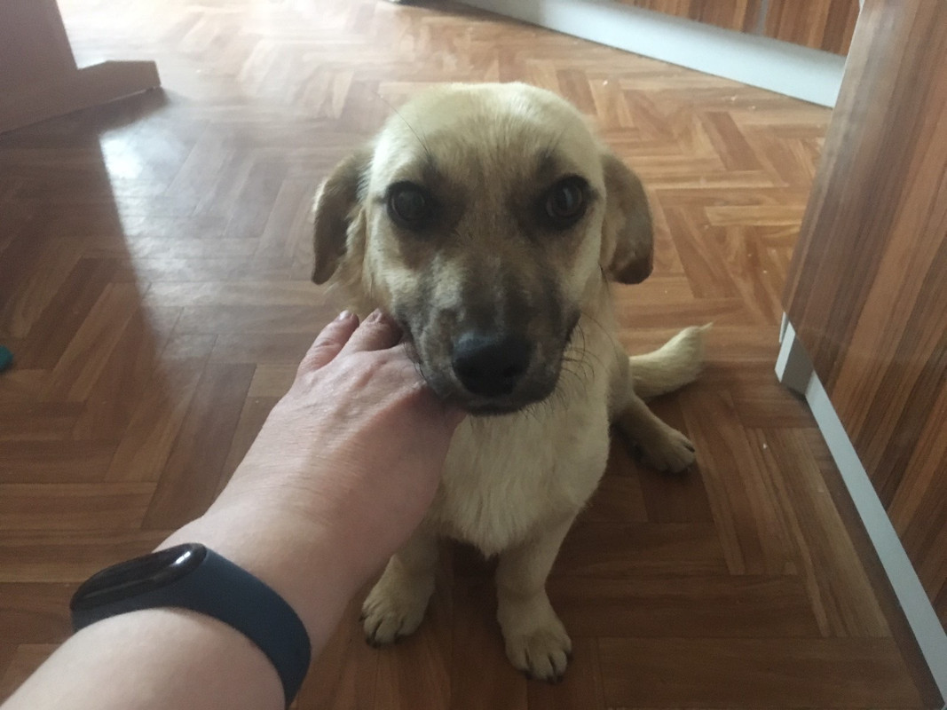 3865B2D1-BDD2-4E4A-A648-CC0DD29C7F4C