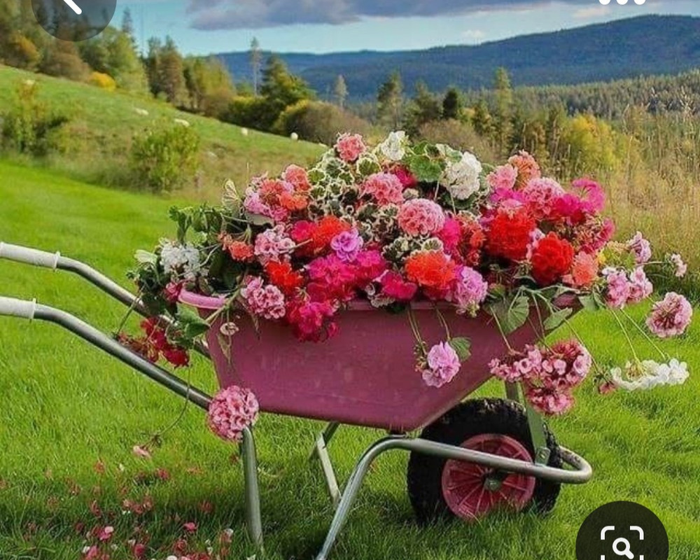 Screenshot_20230614_015843_Pinterest