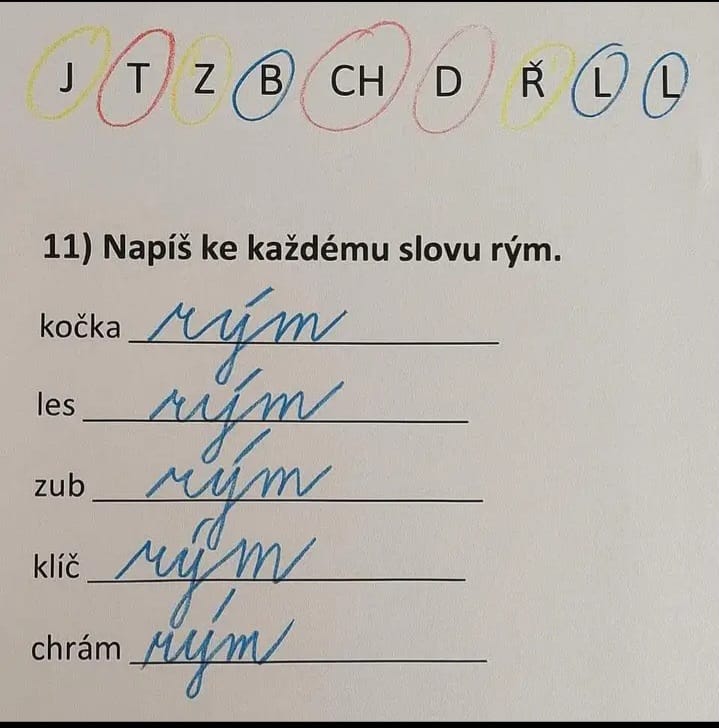 Obrazok Whats App 2025 11 01 o 15 56 01 04a81b4e