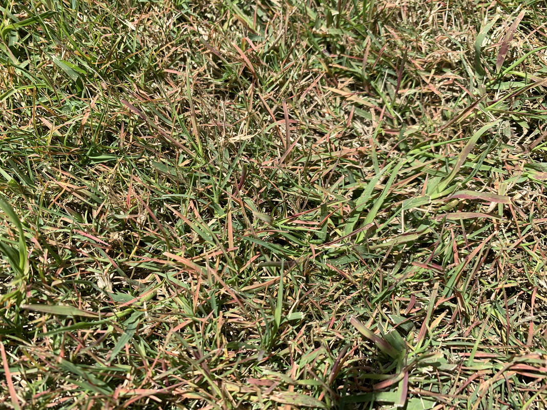 9FCE1B69-926F-4402-A7D3-045917FDEB6A