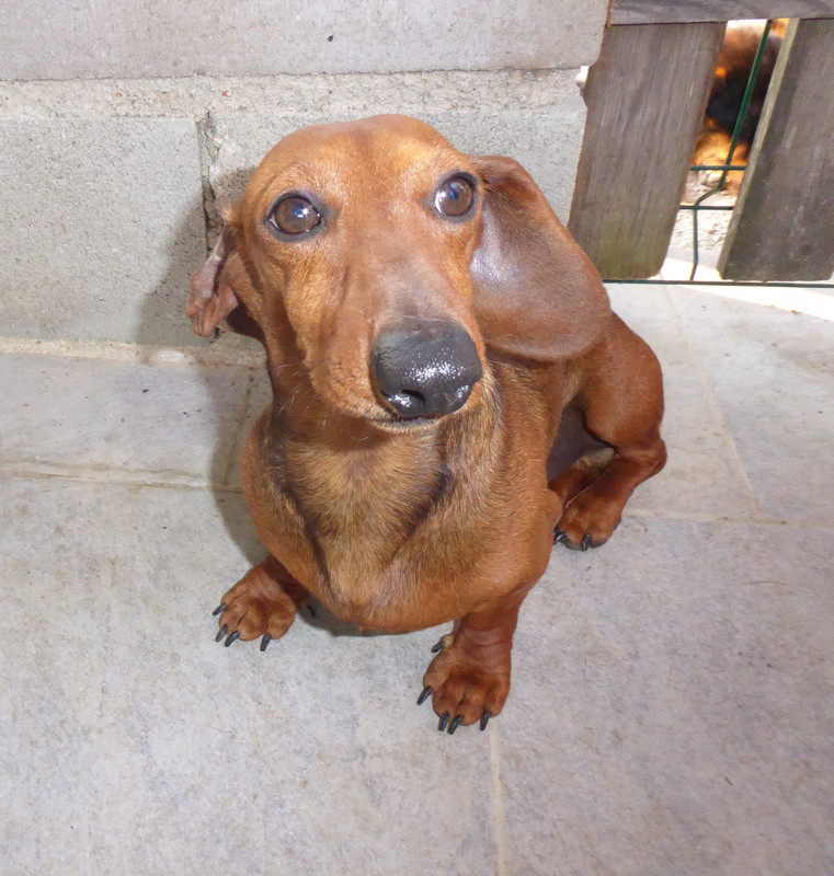 [Image: P1030145.jpg]