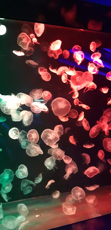 WhatsApp Image 2020-02-18 at 11.15.02 (1)