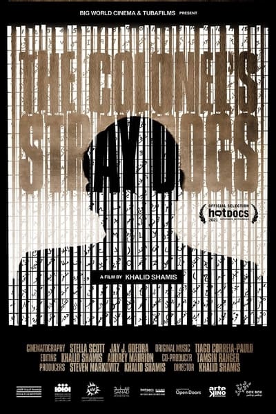 stray-dogs-2021-1080p-web-dl-dd5-1-h-264