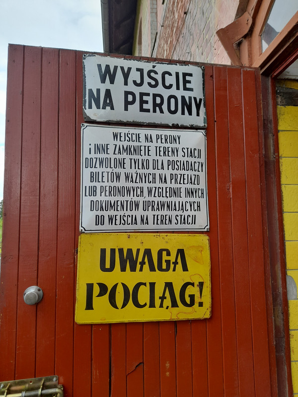 13.15 - 20210605_151052 (Aldona)