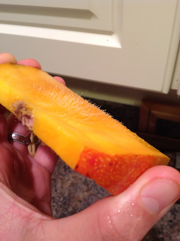 6c8dd197294c4b7251ddbbb45fc440e5