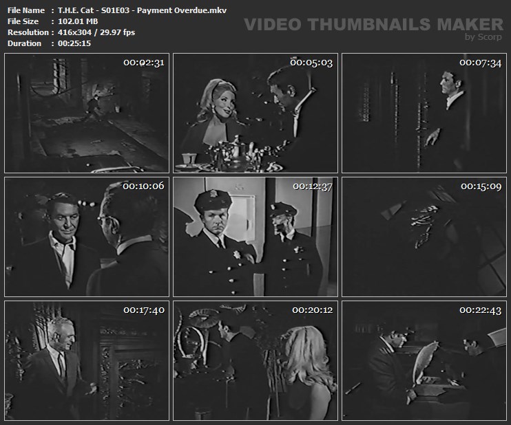 T.H.E. Cat - S01E03 - Payment Overdue.mkv