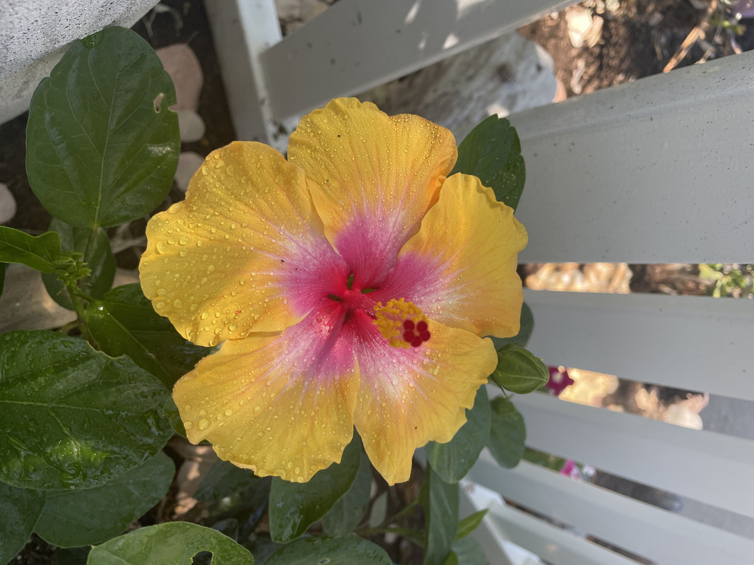 9F1F6B4E-C1C2-432A-885A-794D2D304494