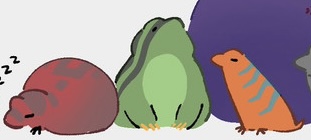 Skateboard, Boombox and Coil as Pocket Frogs.