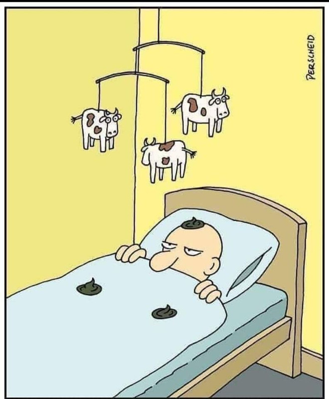 274951902_1483278535399415_5896132256219366878_n