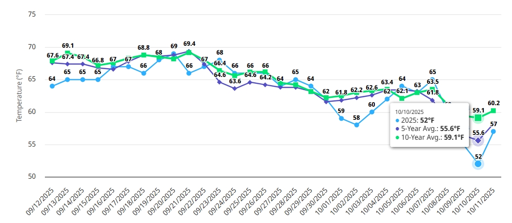 Screenshot-12-10-2025-13502-www-greencastonline-com.jpg