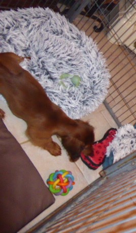 [Image: P1050410.jpg]