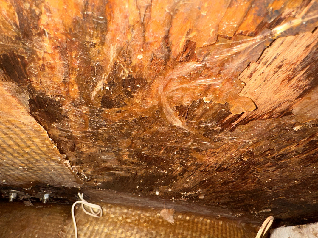 7D616454-D7ED-4F5F-A064-3E35AB26D197