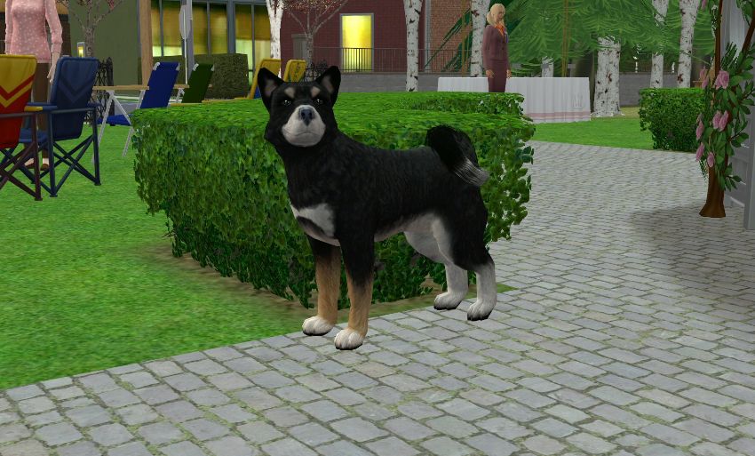 Sims2-EP9-2021-02-28-16-24-48-16