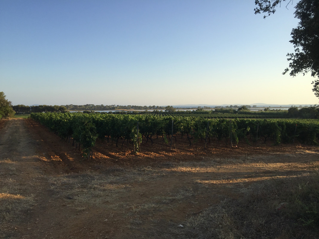 60C464B8-F5B2-4EB4-B2A0-7A84794FF0F5