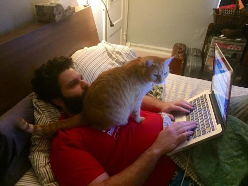 Cat Humor #7