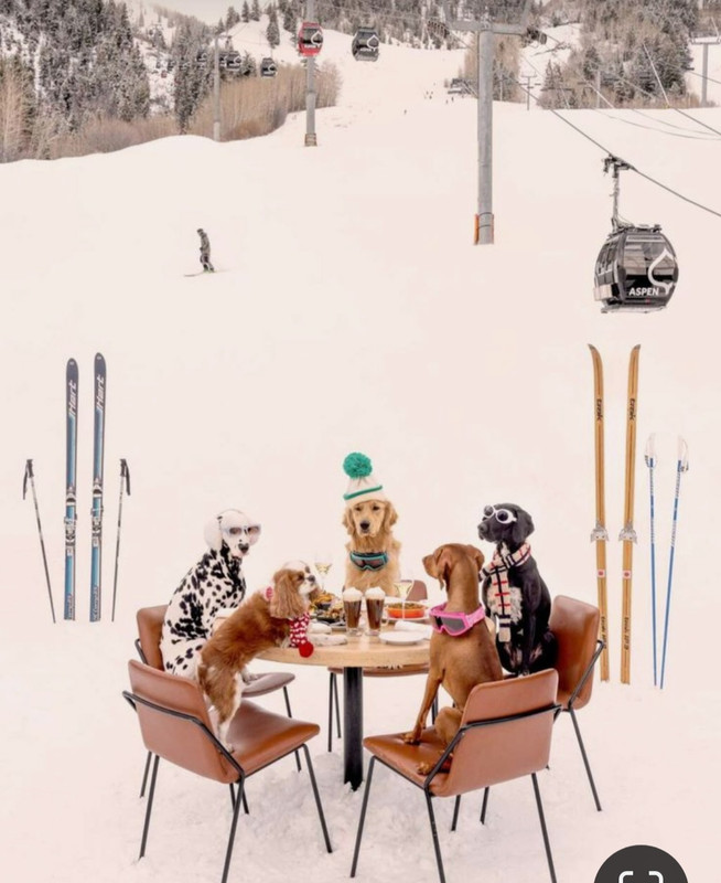 Screenshot_20231125_232635_Pinterest