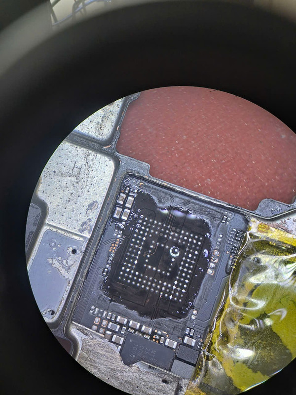 photo 2026 01 23 12 59 15