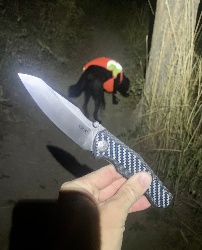 73A567AC-41CC-4AF9-A47A-8360305F57E4