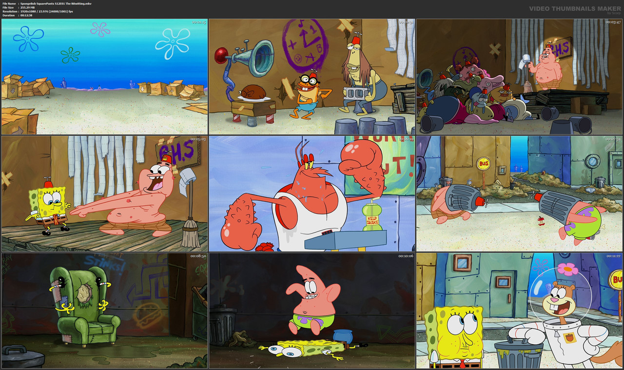 SpongeBob SquarePants S12E01 The Nitwitting.mkv