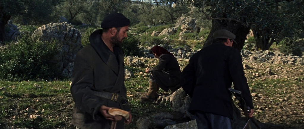 [Image: gylm07tpym71.png]