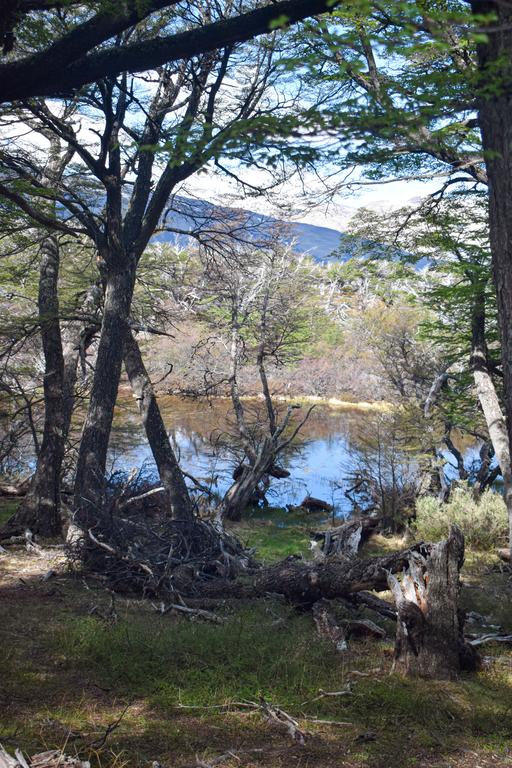 В джазе только девушки или аргентинско-бразильский калейдоскоп В джазе только девушки или аргентинско-бразильский калейдоскоп