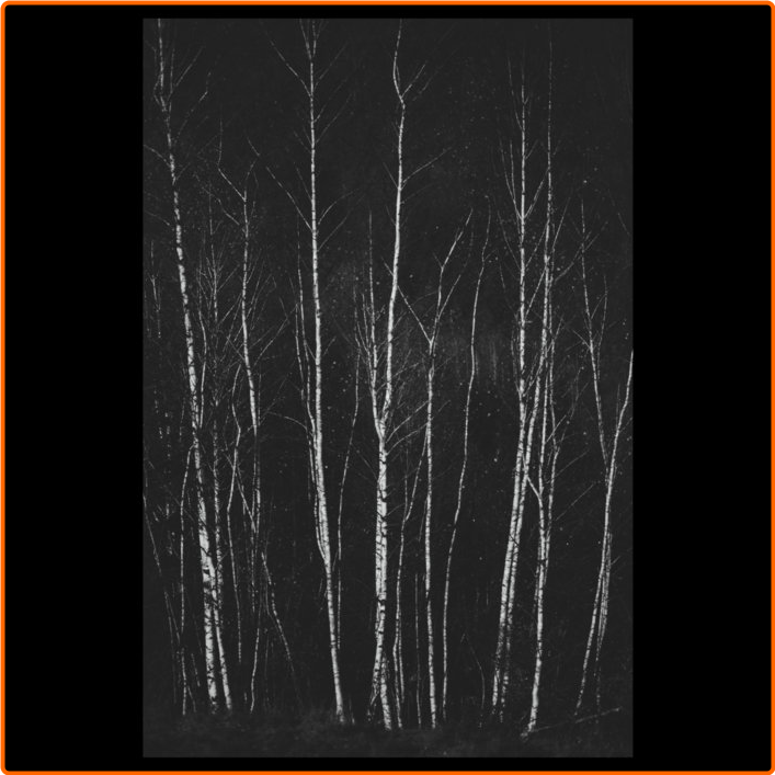 [Image: m1umw2dptx86.png]