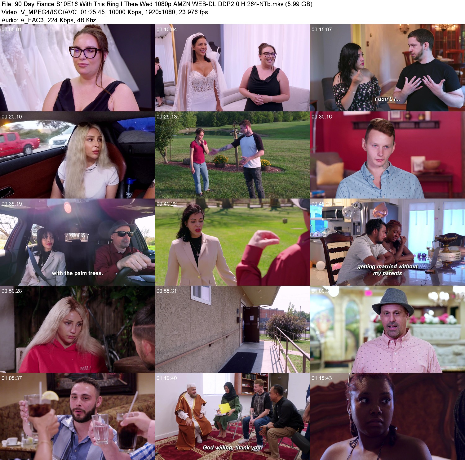 [Image: zxty5848rnnp.jpg]