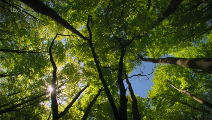 [Image: kga2up51t0ww.png]