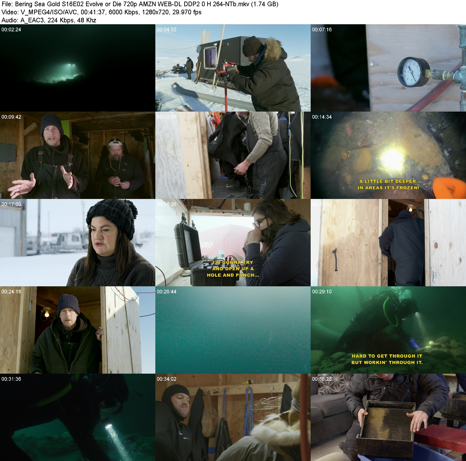 [Image: 14mx56uetznk.jpg]