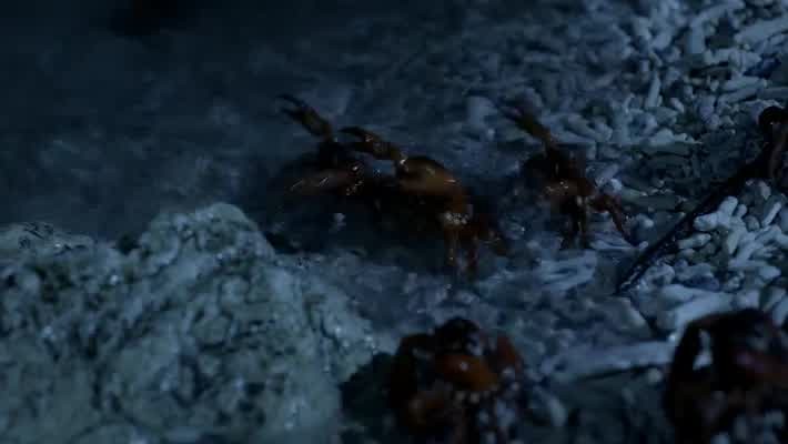 [Image: g7zwys01dl7h.jpg]