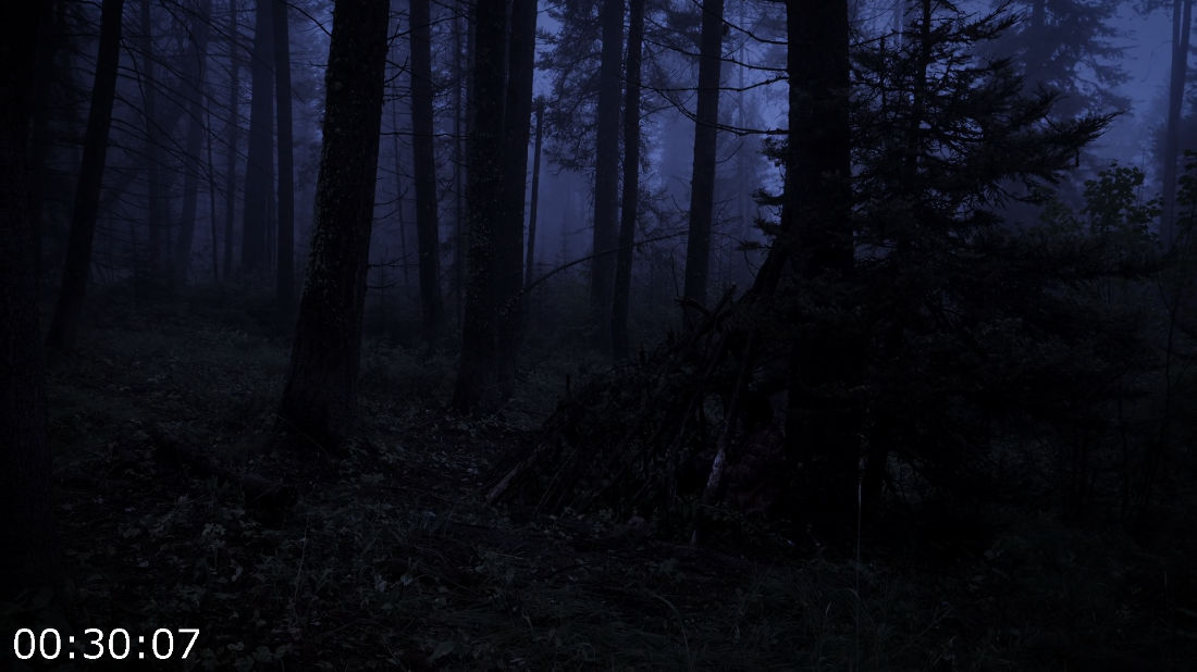 [Image: d3x0ec9k4ewx.png]