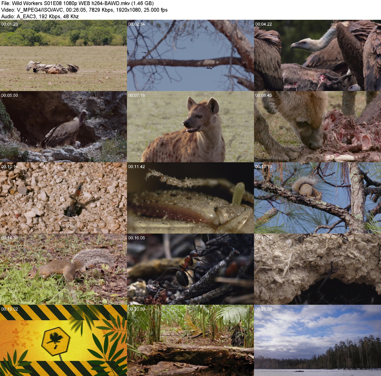 [Image: q40f3hzvrbk1.jpg]