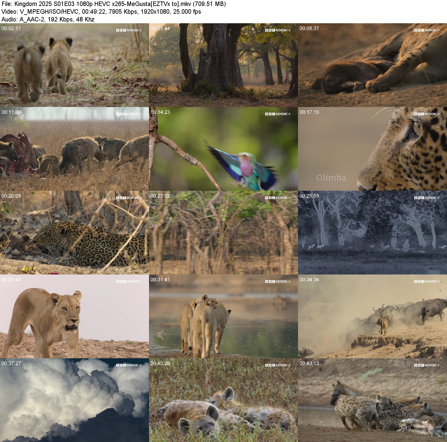 [Image: 8fp6pclgt53m.jpg]