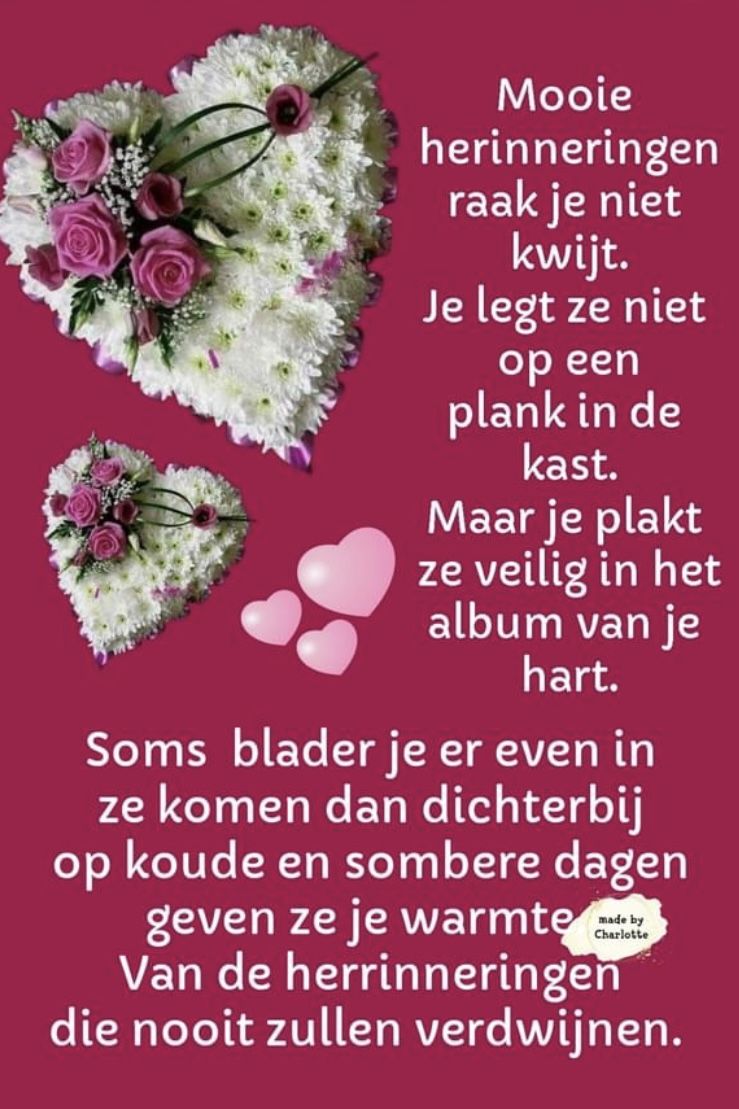 838220ab2ae06104ee45f85c39fa4341