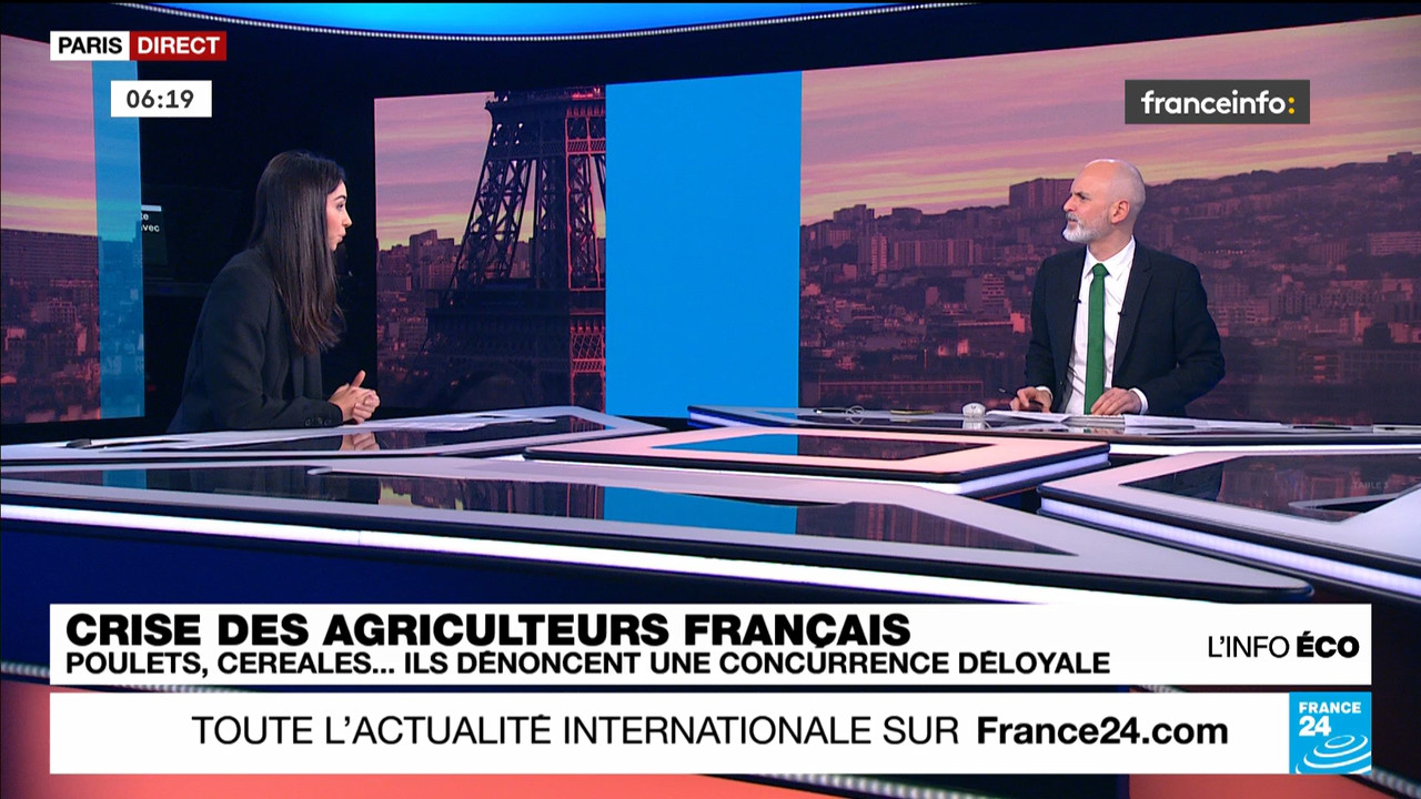 France 24 (Franceinfo)_2024_01_29_03_55_46.ts_snapshot_01.24.24.988