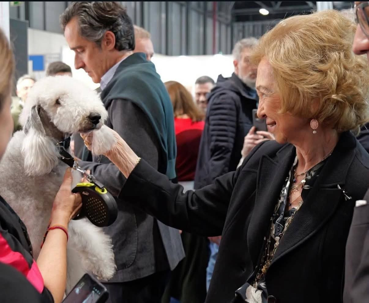 FB IMG 1774045363796