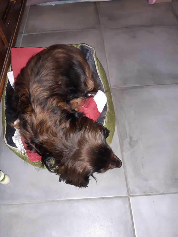 [Image: 20221207-093644.jpg]